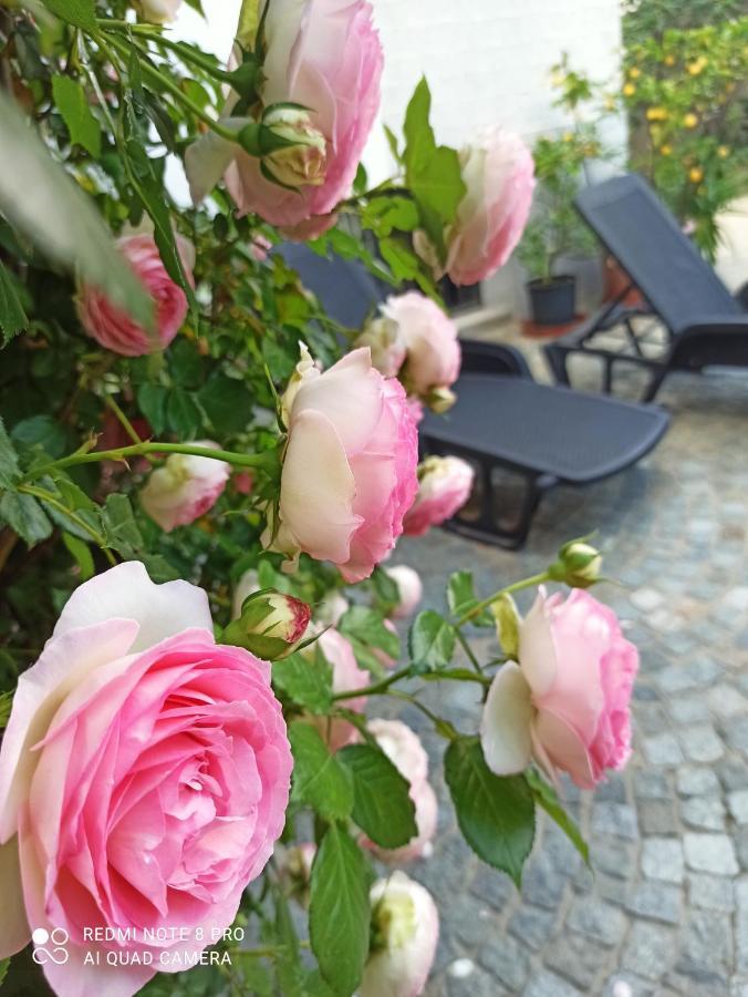 D'Or Duble' Bed And Breakfast Carignano  外观 照片